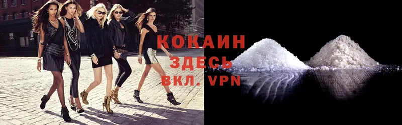 COCAIN VHQ  Судак 